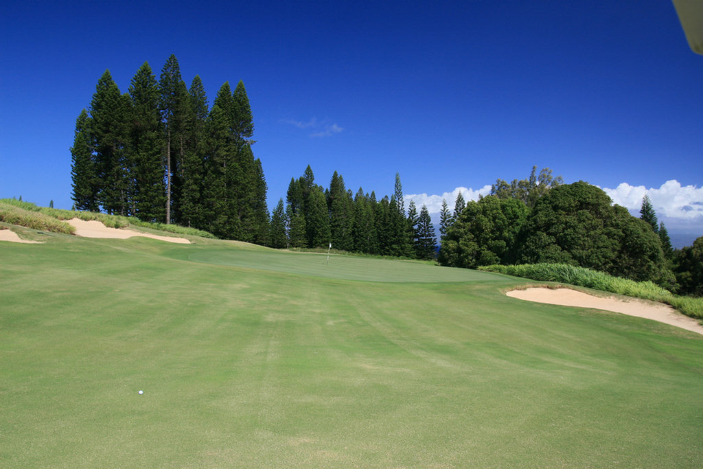 Lahaina Golf Adventure