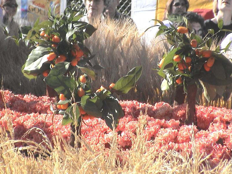 Rose Parade Floats 2003