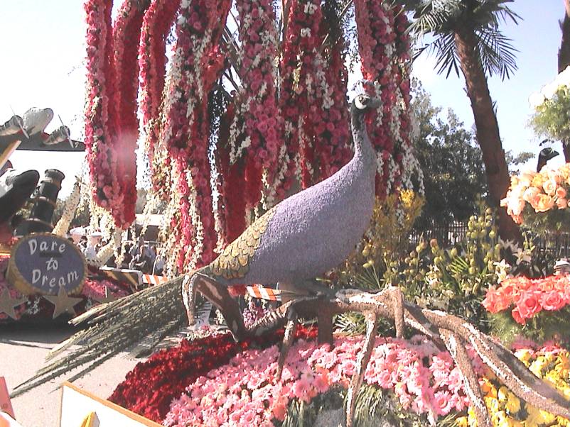 Rose Parade Floats 2003