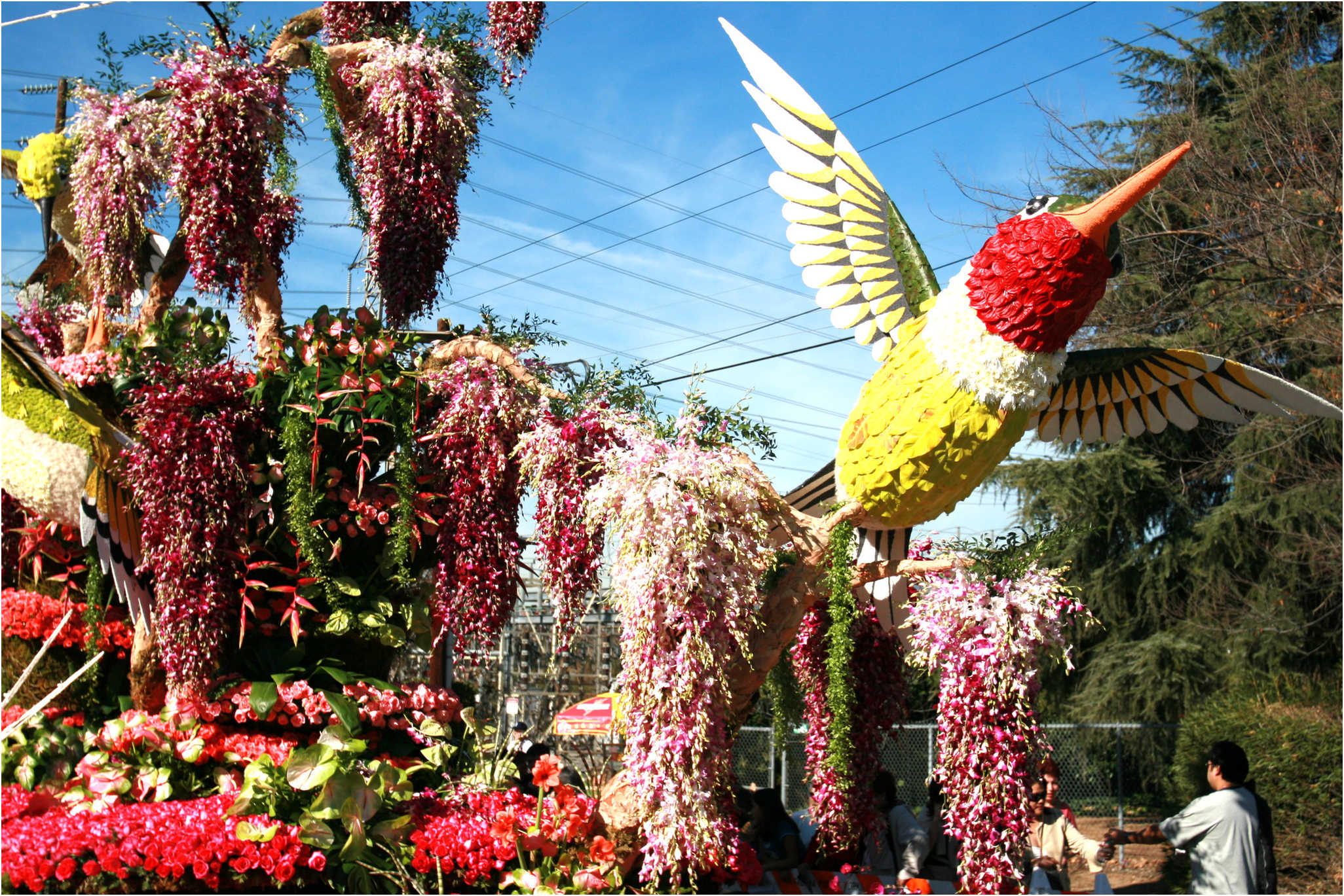 Rose Parade Walk  2007