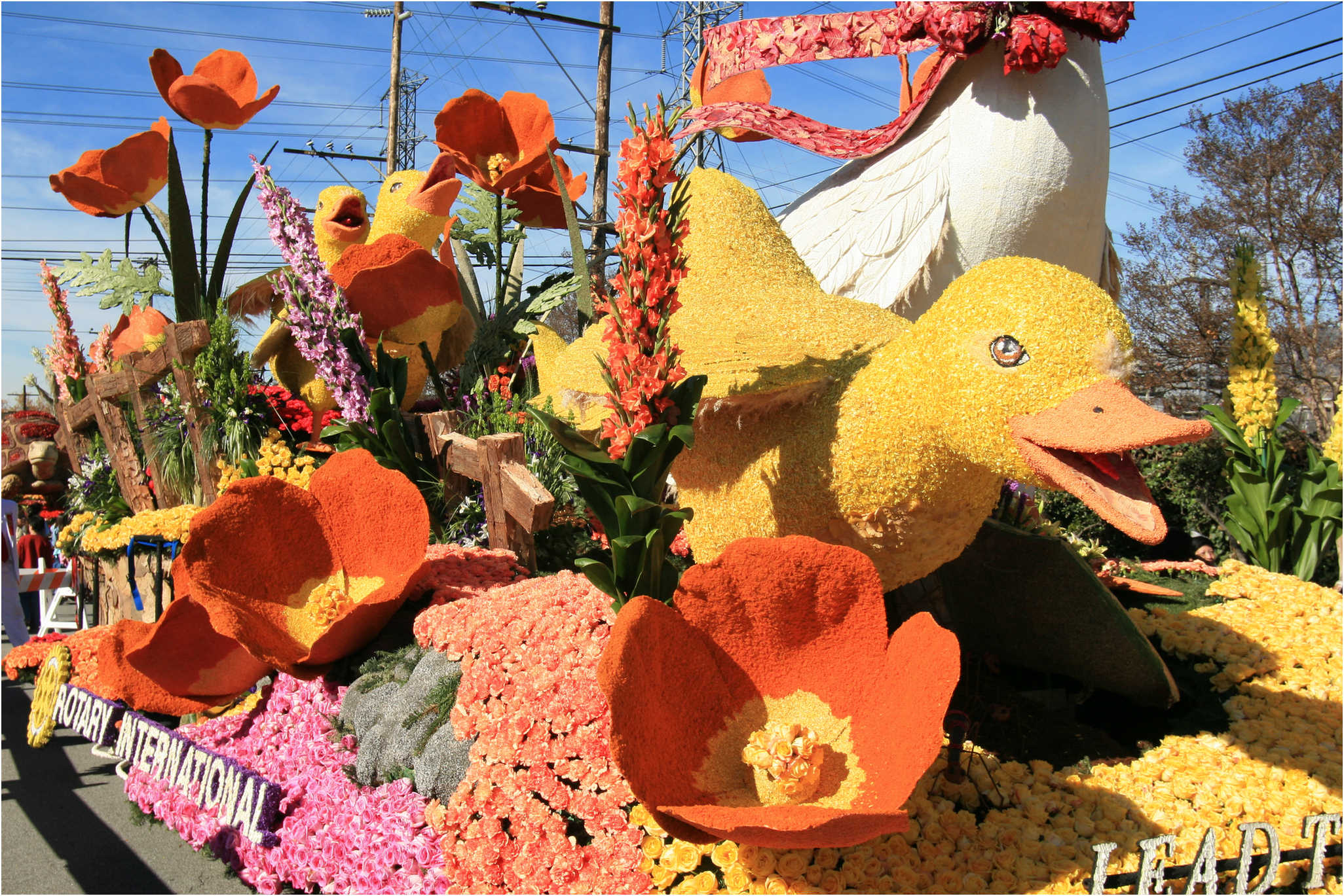 Rose Parade Walk  2007