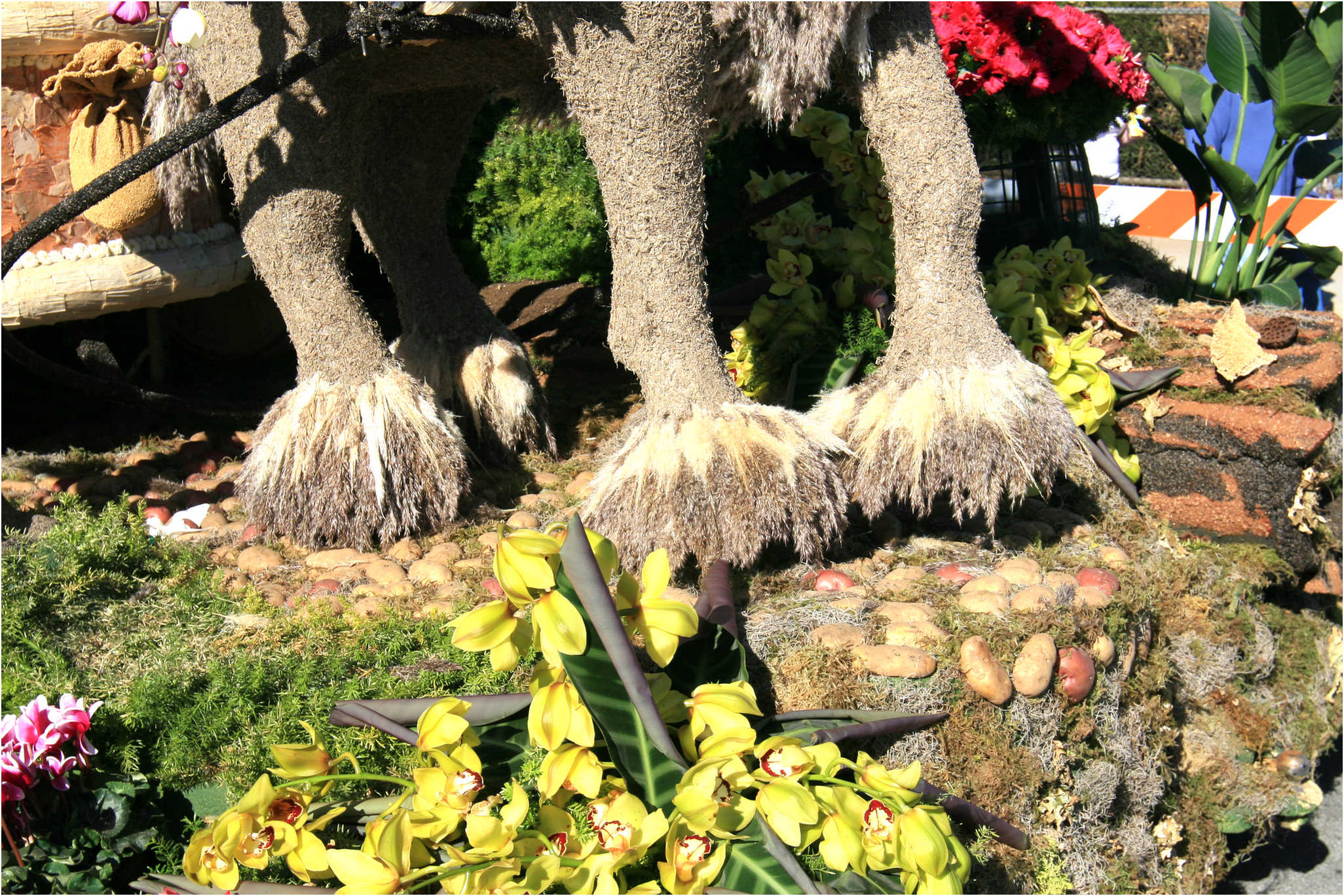 Rose Parade Walk  2007