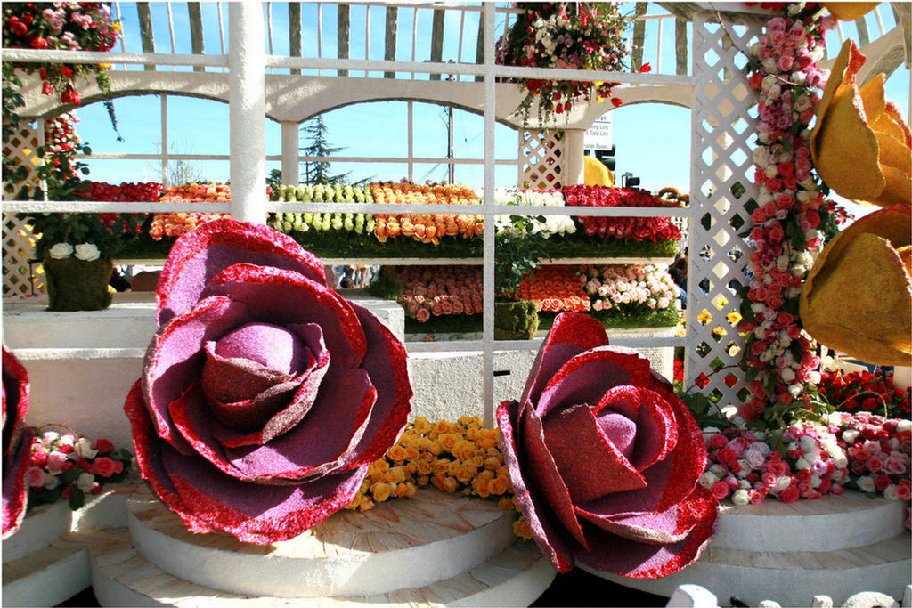 Rose Parade Walk  2007