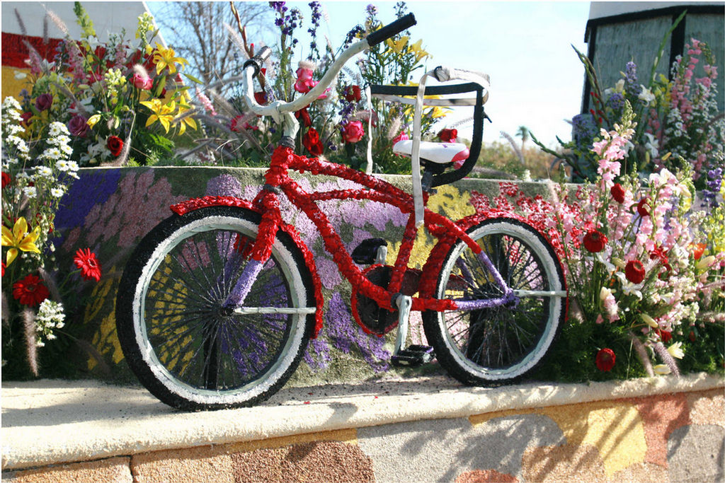 Rose Parade Walk  2007