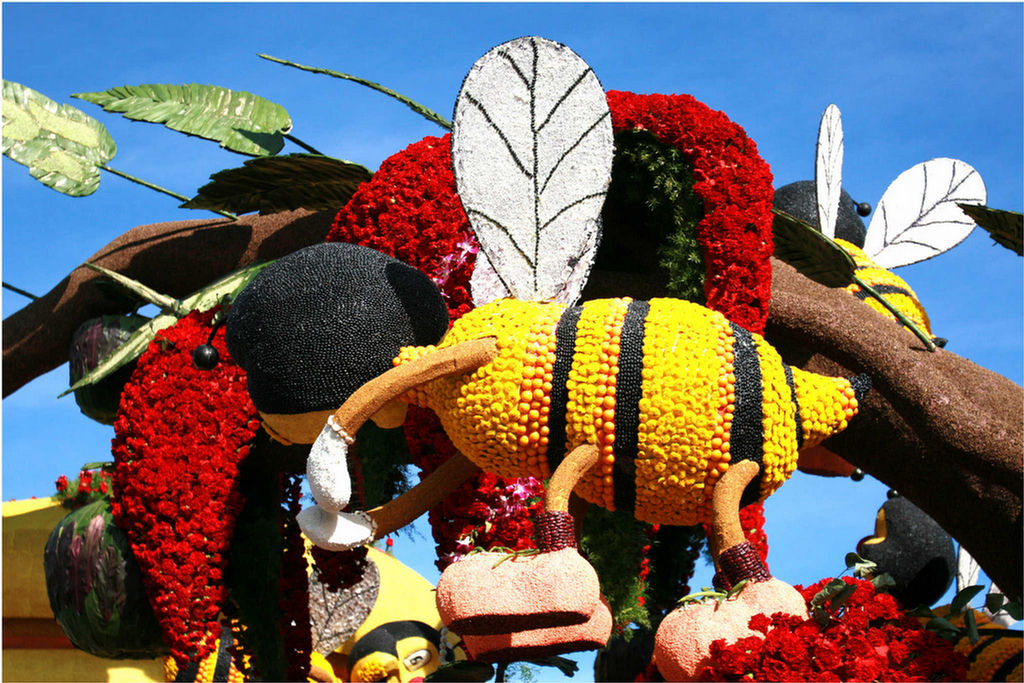 Rose Parade Walk  2007