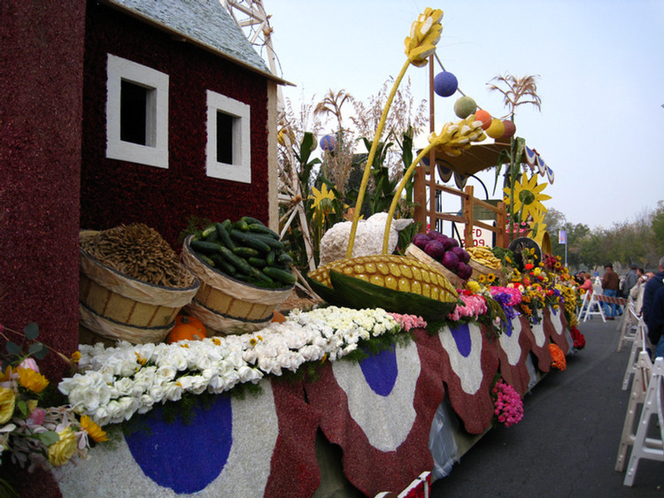 New Years 2009 Float Review