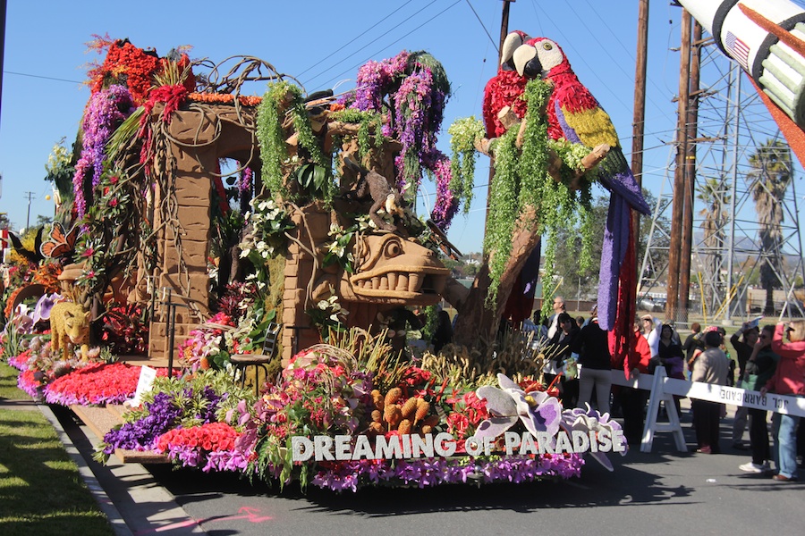 Rose Parade 1/2/2013