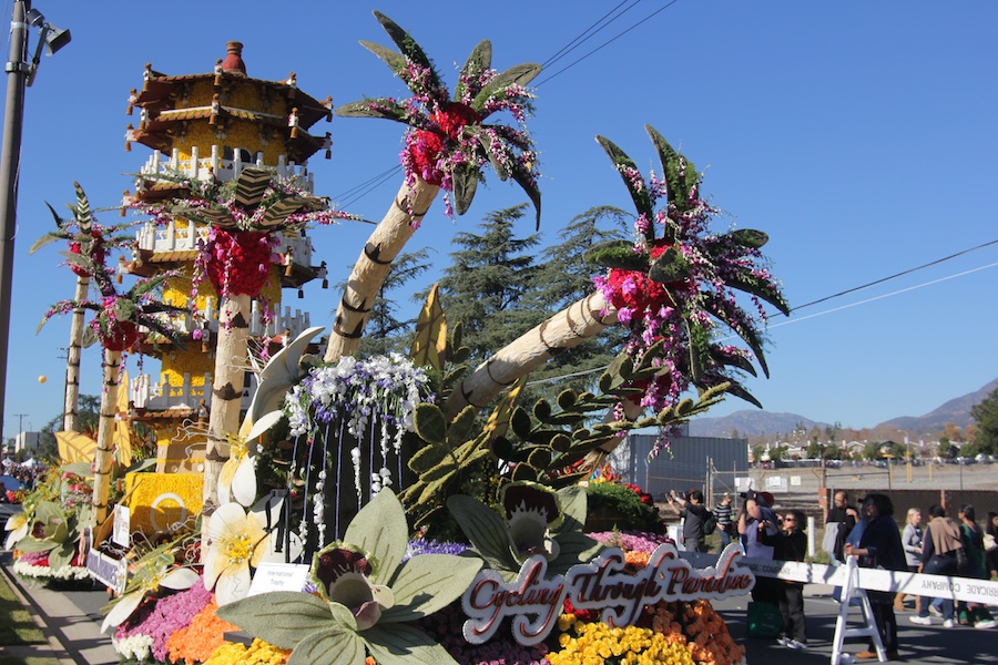 Rose Parade 1/2/2013