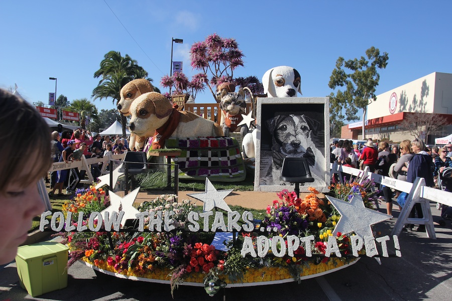 Rose Parade 1/2/2013