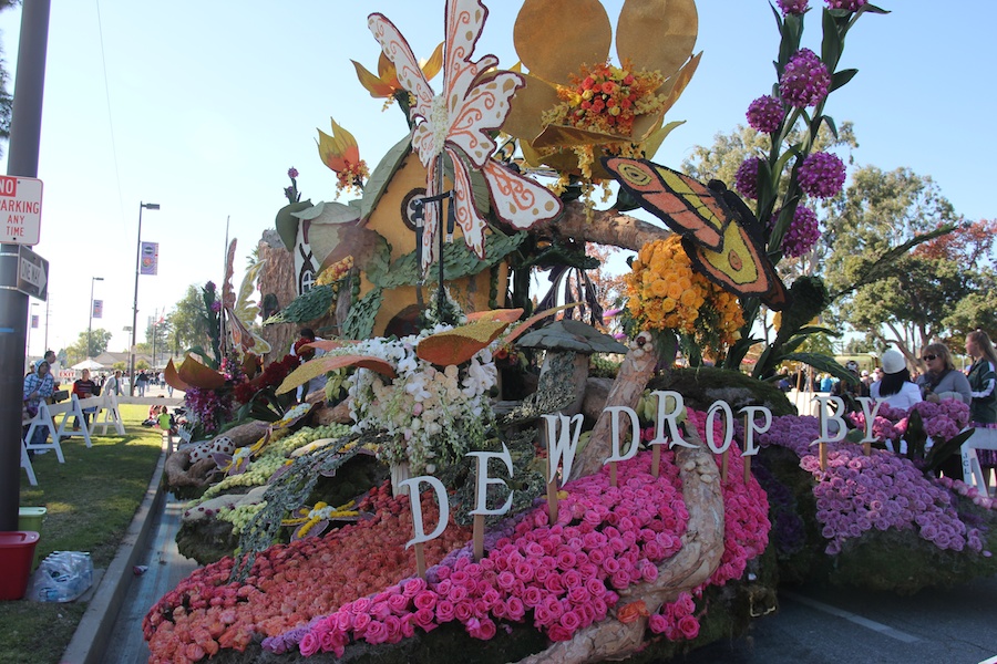 Rose Parade 1/2/2013