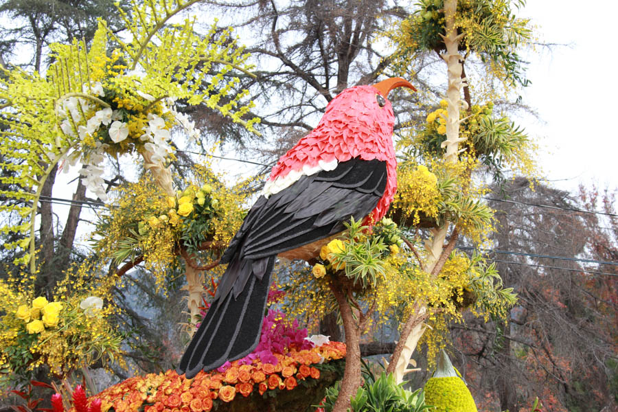 Walking the 2017 Rose Parade Floats with Joanna 1/3/2017