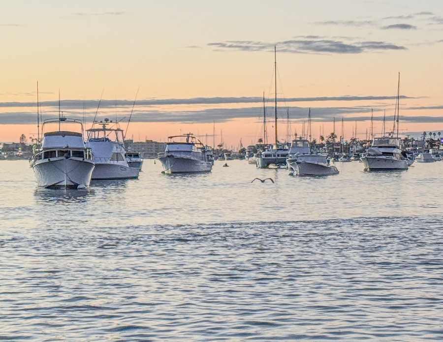 2026-01-01 Balboa With The Duda's