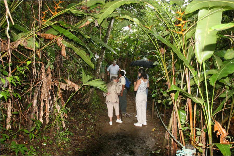 Puntarenas Suspension Bridges