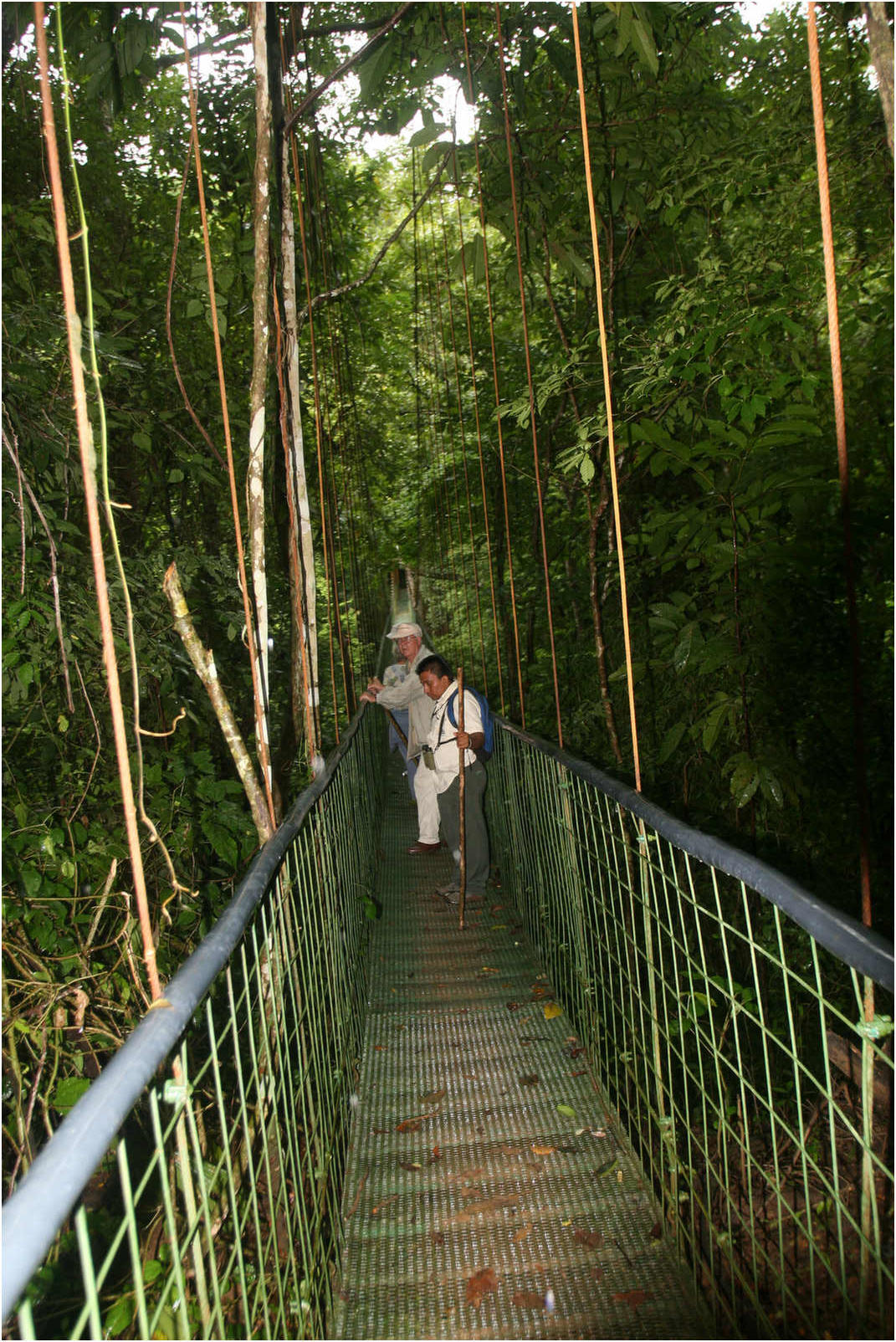 Puntarenas Suspension Bridges