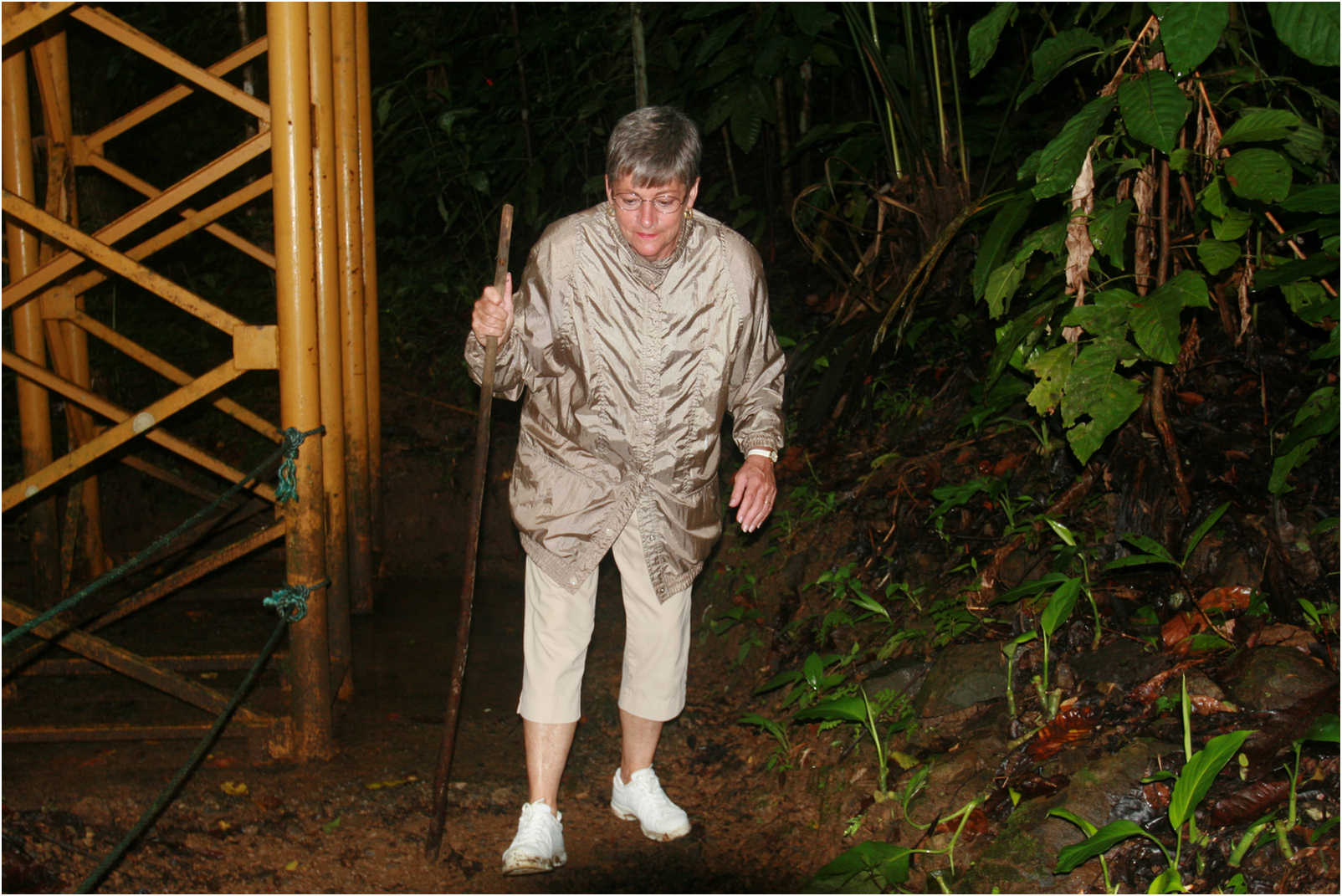 Puntarenas Suspension Bridges