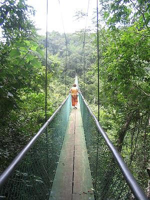 Suspension Bridges