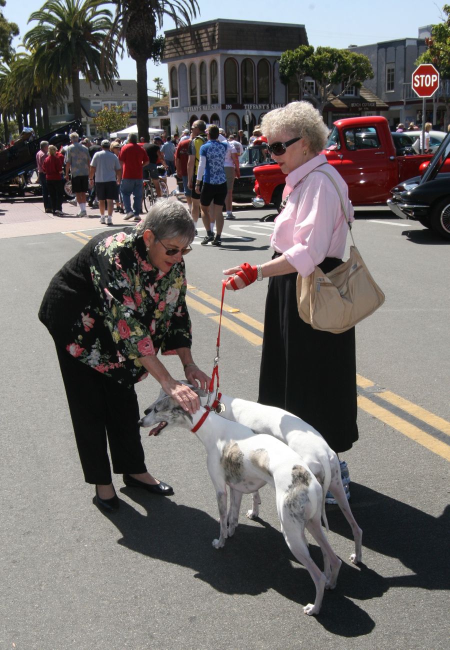 Seasl Beach Car Show