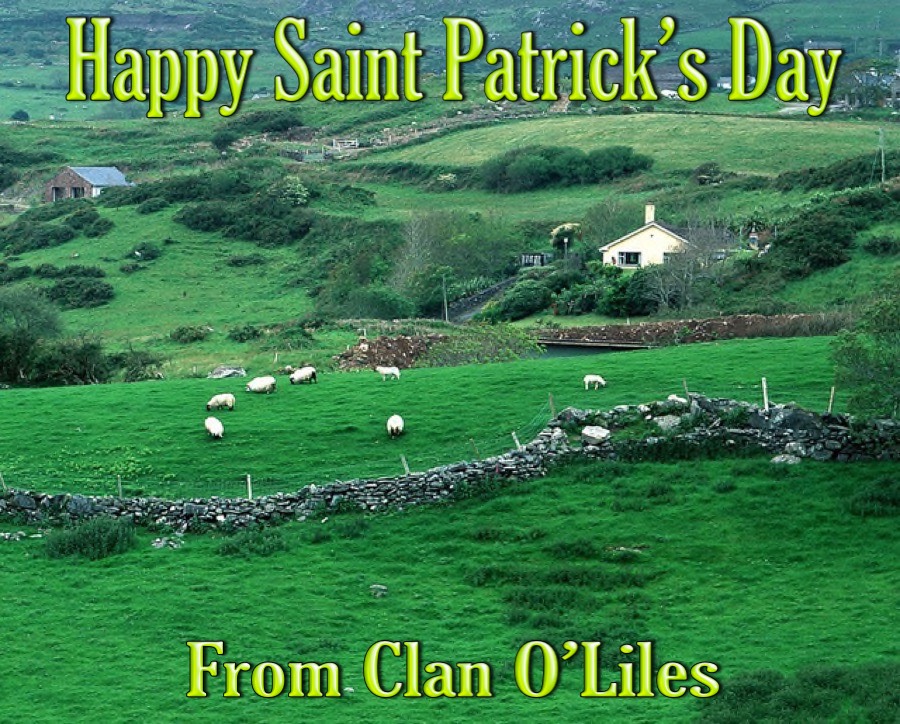 Saint Patrick's Day 2016