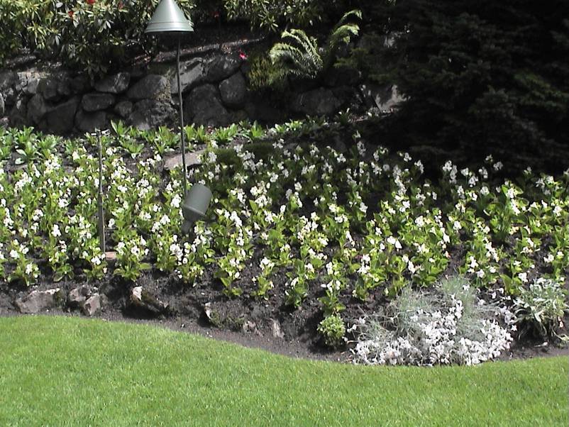 Butchart Gardens