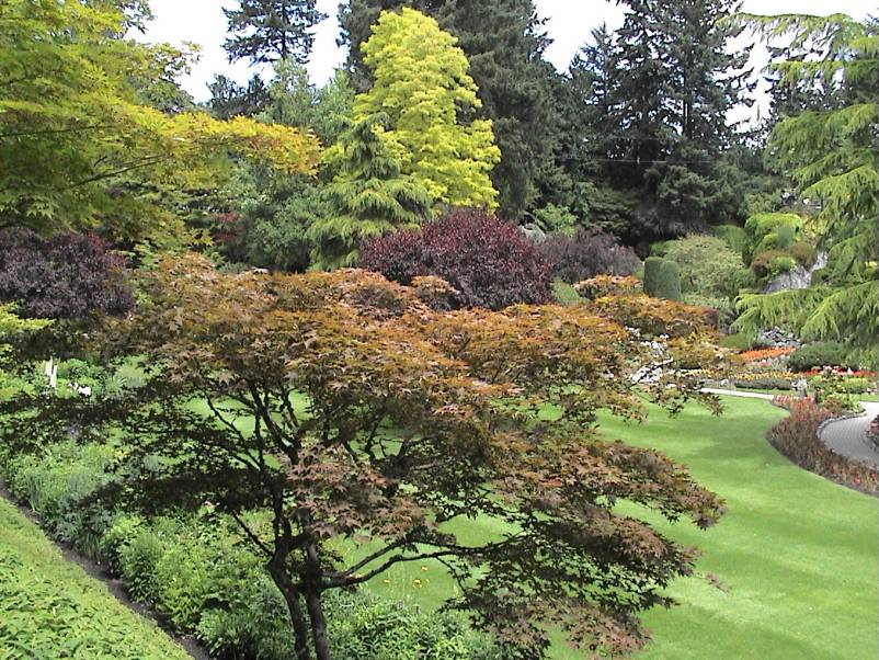 Butchart Gardens