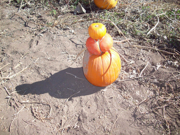 Oak Glen October 2008