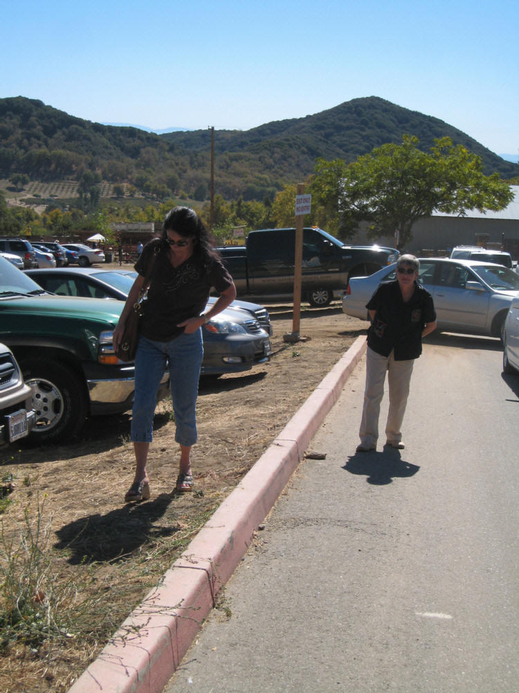 Apple Picking 2009