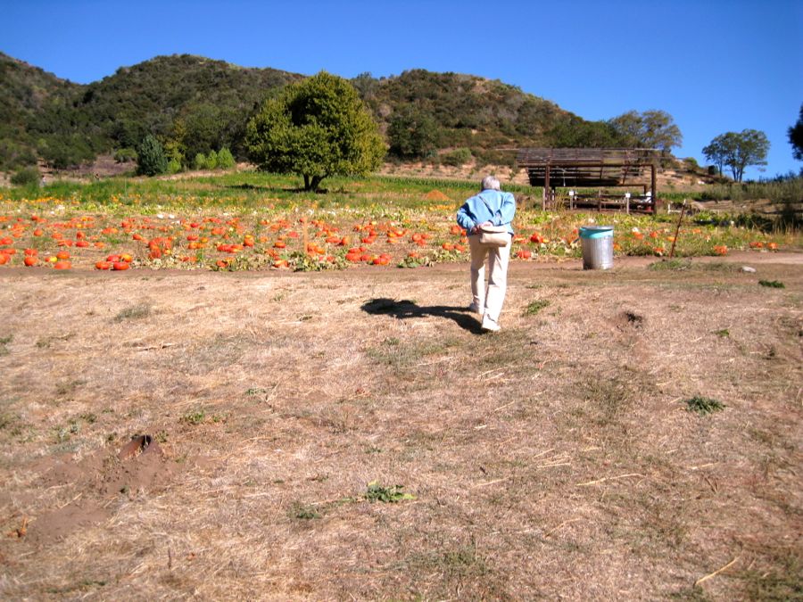 Apple picking at Oak Glen October 2011