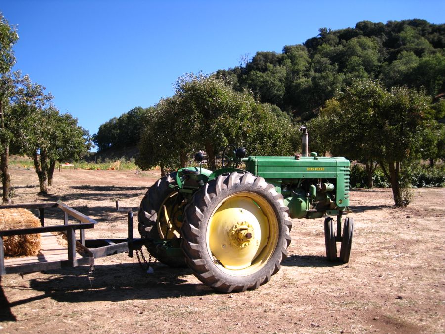 Apple picking at Oak Glen October 2011