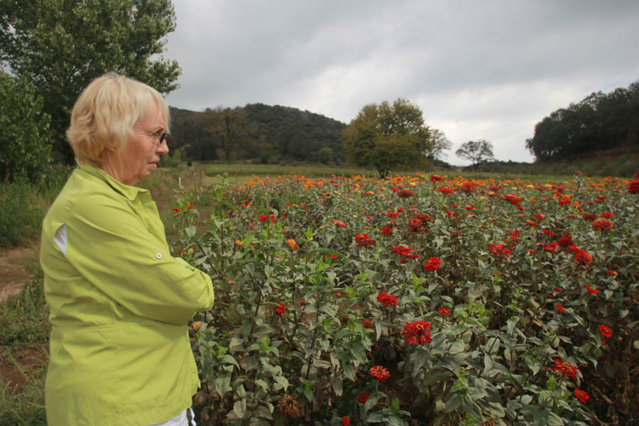 Visiting Oak Glen October 6th 2015 With The Finch's