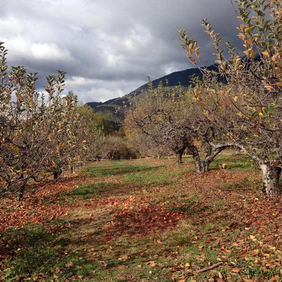 Visiting Oak Glen October 6th 2015 With The Finch's