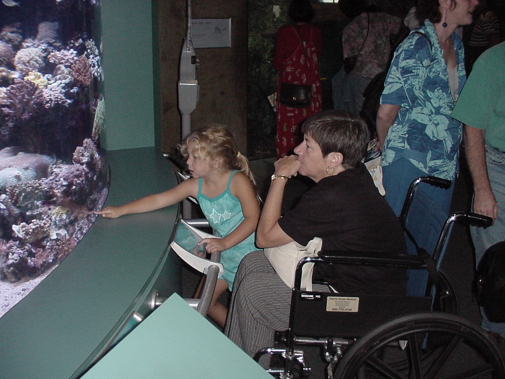 Aquarium Of The Pacific