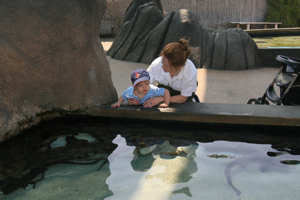 Theo's First Aquarium Visit