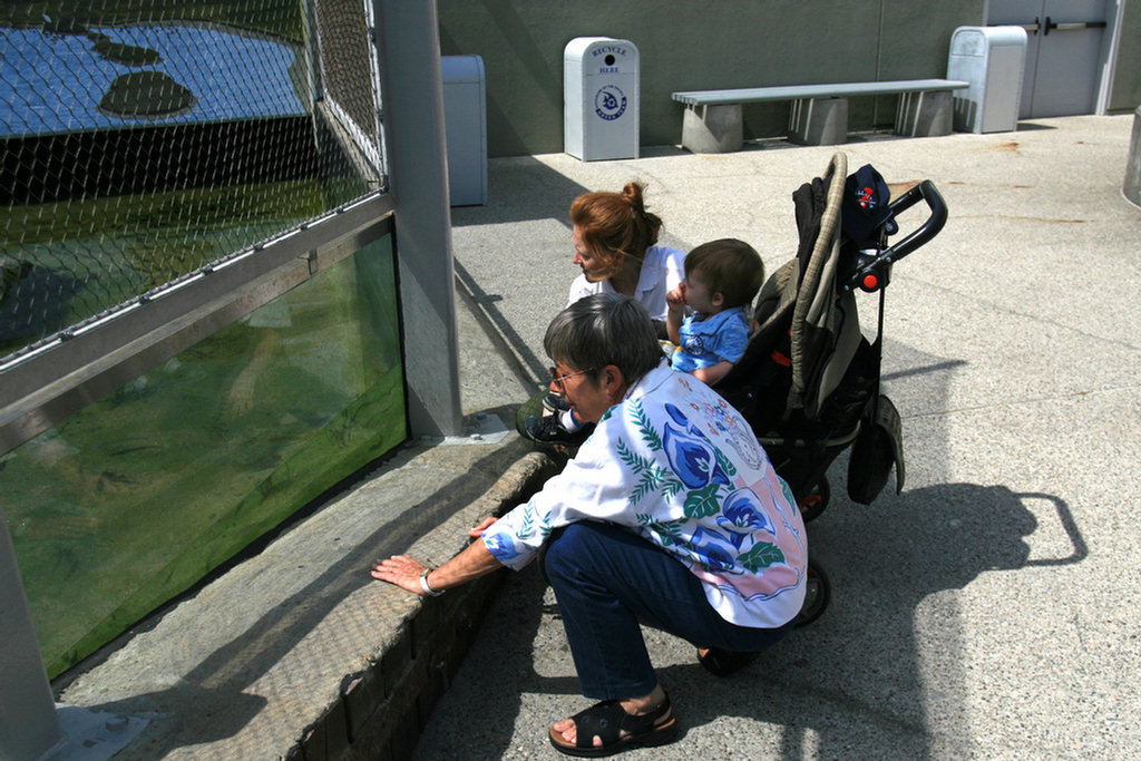 Theo's First Aquarium Visit