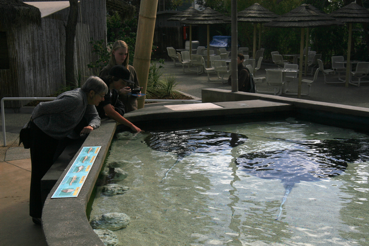 Aquarium Spring Break 2009