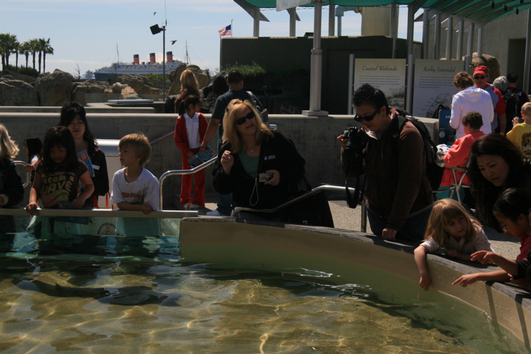 Aquarium Spring Break 2009