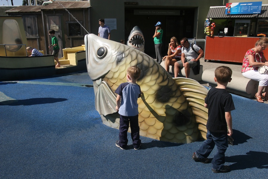 Lunch and the Aquarium with family 9/21/2013