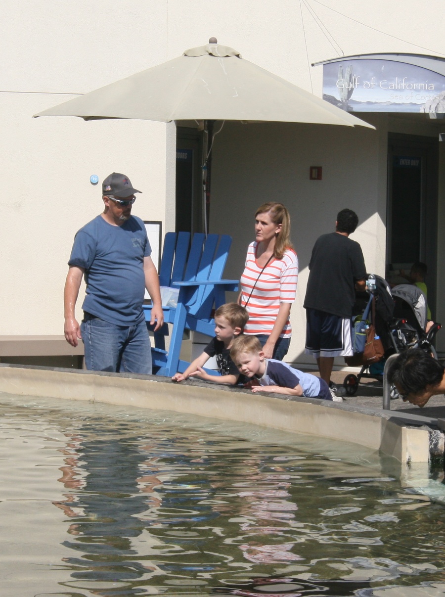 Lunch and the Aquarium with family 9/21/2013