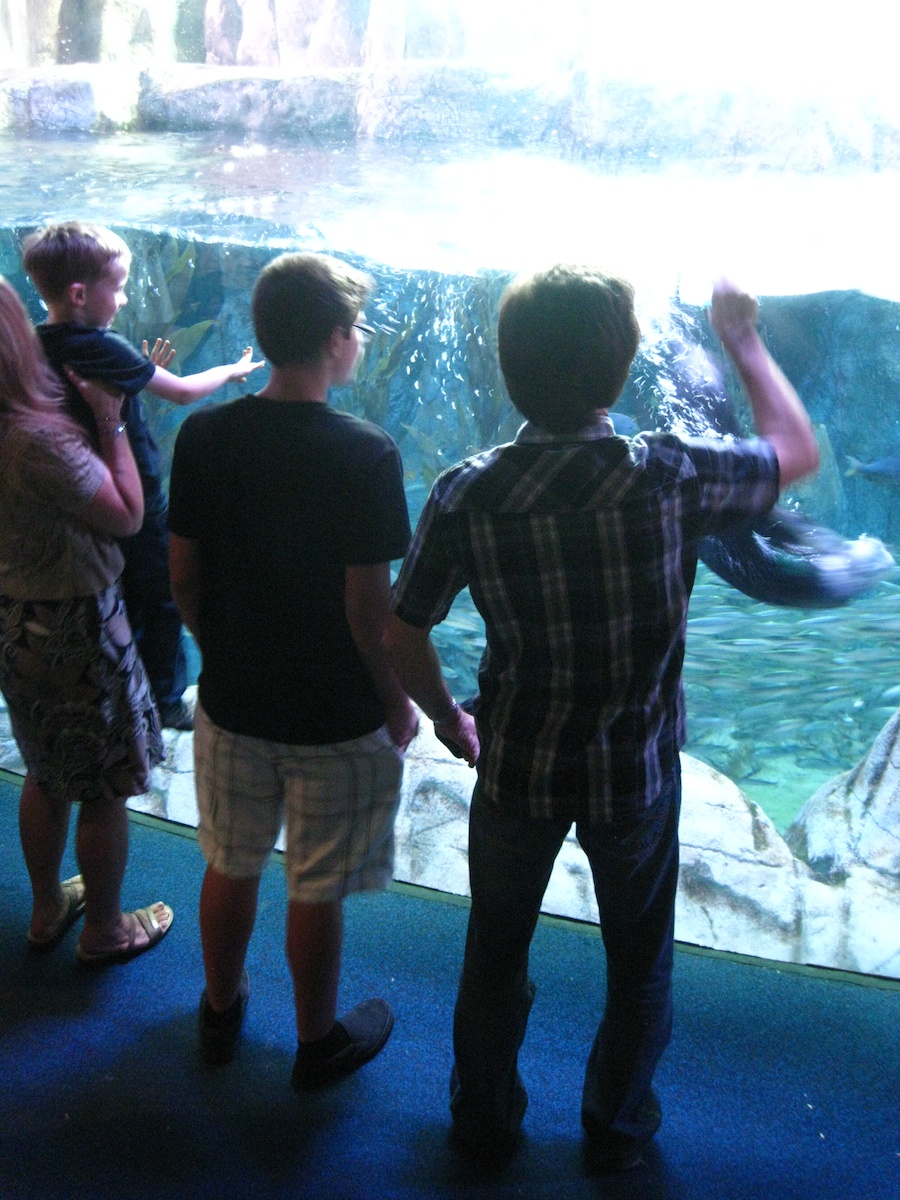 Lunch and the Aquarium with family 9/21/2013