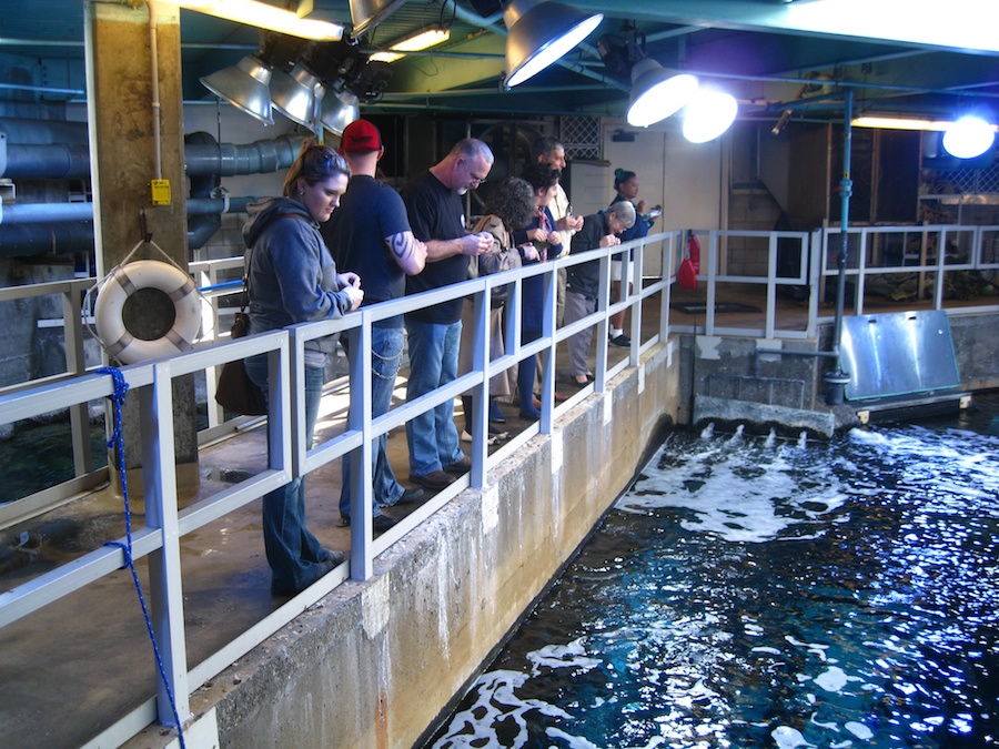 Aquarium and harbor cruise 2/27/2014