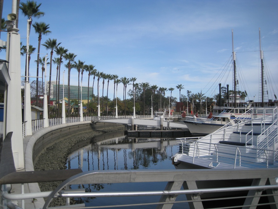 Aquarium and harbor cruise 2/27/2014