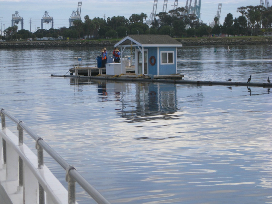 Aquarium and harbor cruise 2/27/2014