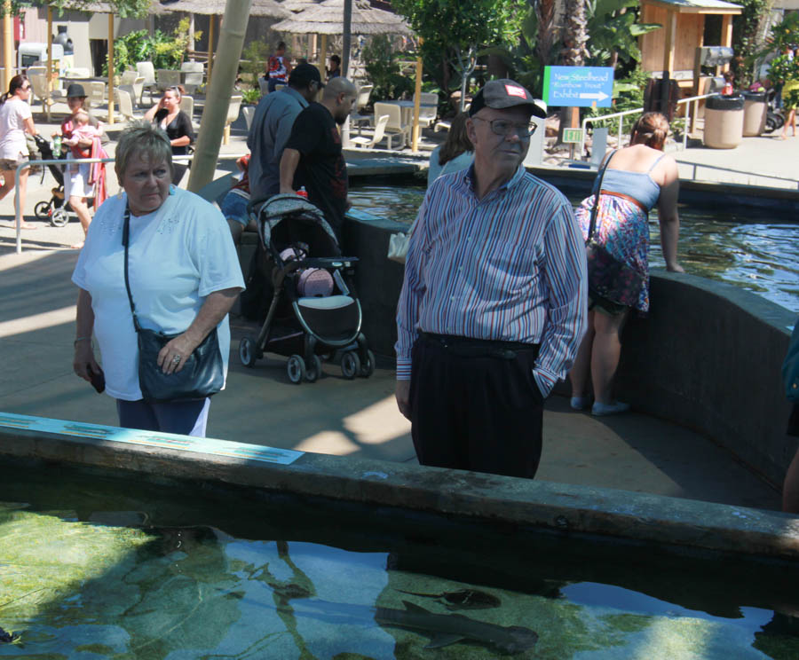 Aquarium Of The PAcific With Friends September 2014