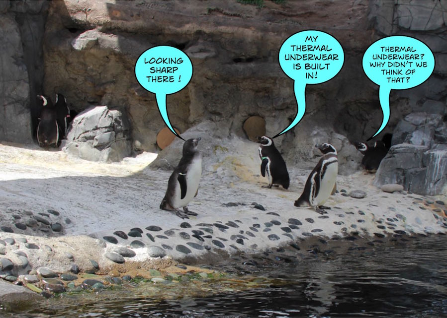 Walking at the Long Beach Aquarium 5/25/2016