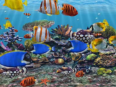 Aquarium Backgrounds