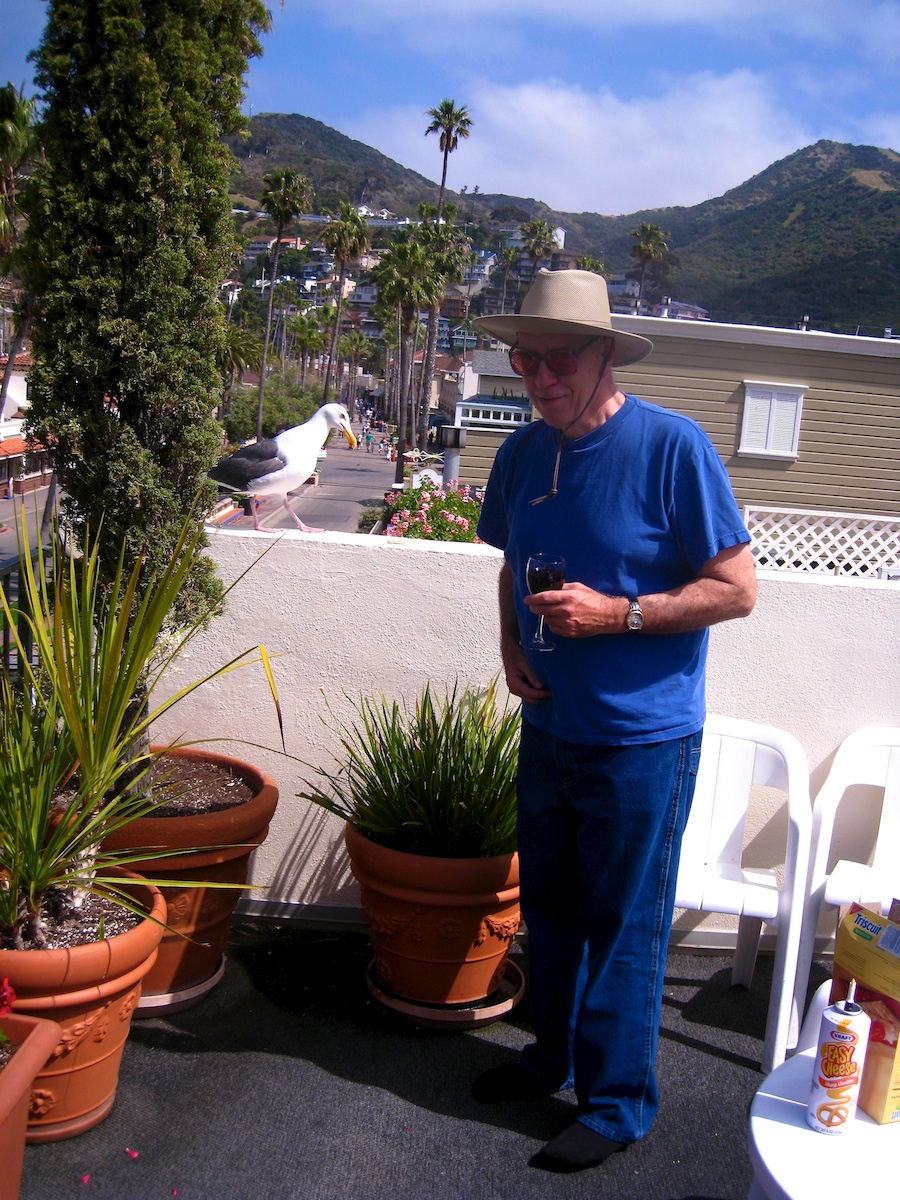 Pre dinner cavorting up on the roof