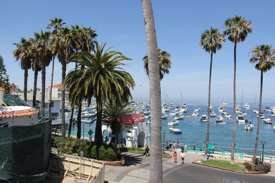 Friday afternoon in Avalon on the sun deck May 2014