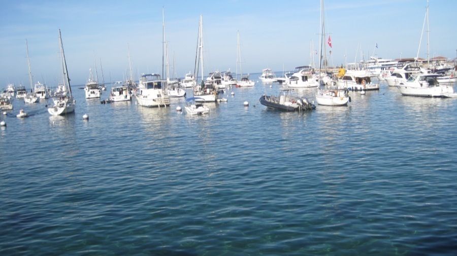 Friday afternoon in Avalon on the sun deck May 2014