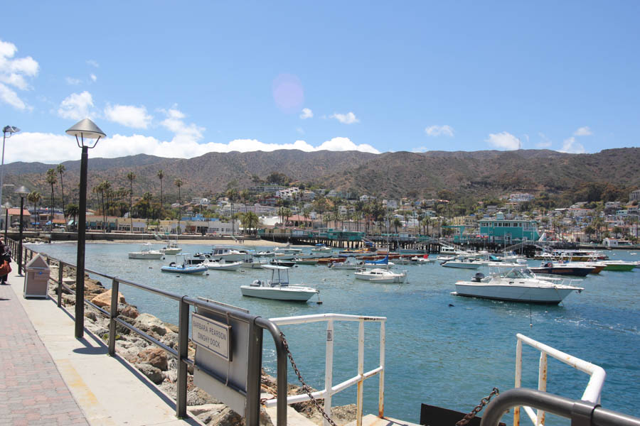 Traveling to Catalina May 15th 2015