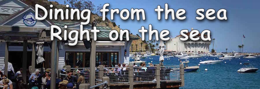 Friday night dinner at the Bluewater Grille in Avalon May 13th