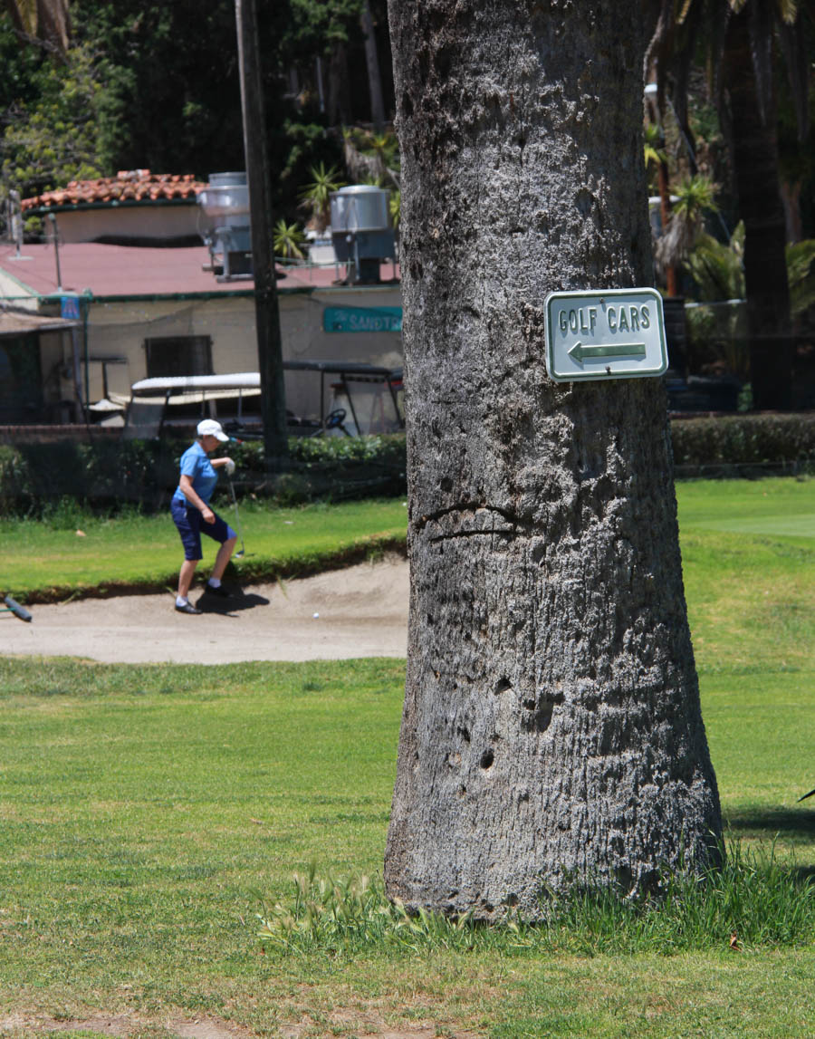 Playing golf in Avalon May 20th 2017